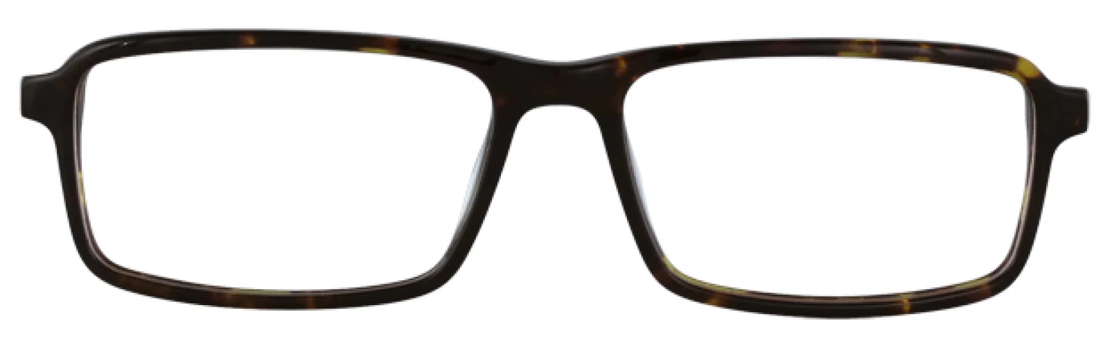 Stetson S340 Eyeglasses - Tortoise - view 3